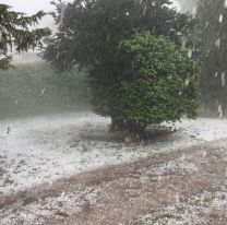 Otra alerta para Salta: Granizo, tormentas eléctricas y vientos fuertes