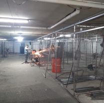 Sortearán los puestos para ambulantes en Mercado San Miguel