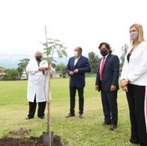 Con la plantación de cebiles colorados, el gobernador Sáenz honró al general Güemes