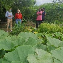 Primera cosecha de la Huerta Comunitaria Municipal de barrio San Isidro