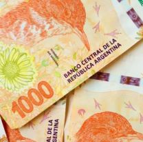 ANSES paga $65.260 de pensión vitalicia por Covid: cómo realizar el trámite para cobrarlos