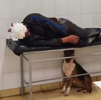 Su perro lo salvó de una agresión y lo cuidó en la guardia del San Bernardo