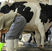 23 de Febrero: se conmemora el D&iacute;a del Tambero en Argentina