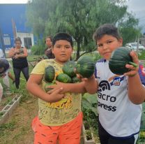 Vecinos de San Benito realizaron la primera cosecha de vegetales de la huerta municipal