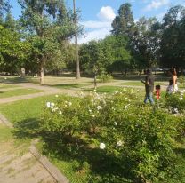 Se censaron 1.450 árboles y más de 50 especies en el Parque San Martín