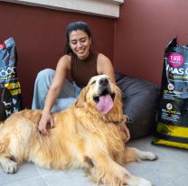 Mas Good, la marca de alimentos para mascotas que se impone en el mercado salteño
