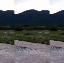 Aseguran que vieron un ovni en la caldera y lo grabaron con el celular