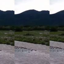 Aseguran que vieron un ovni en la caldera y lo grabaron con el celular