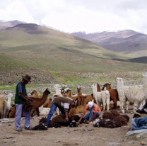 Jasimaná llega al Mercado Artesanal