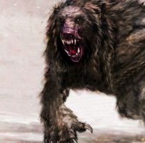 Afirman que existe el "ucumar" en Salta: Lo vieron en Metán