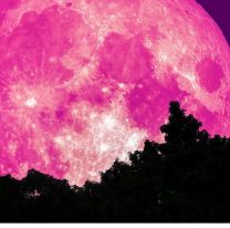 Luna rosa: lo que hay que saber para ver el fenómeno este sábado y domingo