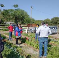 Curso gratuito para armar tu huerta en casa