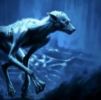 Qué es el "Ucumar", el "animal" mítico del norte argentino que destrozó a dos ovejas y conmocionó a Salta