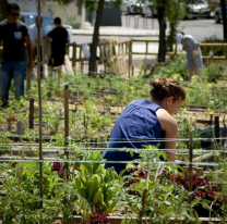 Taller de huerta para principiantes