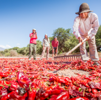 Se capacitar&aacute; de manera gratuita a gastron&oacute;micos de Salta 