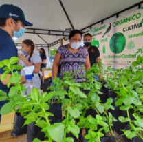 Hoy habrá una feria ambiental en la Usina Cultural