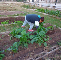 Talleres de huertas agroecológicas gratuitos en los barrios de Salta