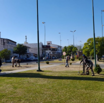 Nueva plantación para crear un microbosque de tarcos en el Parque San Martín