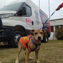 El Móvil Quirúrgico se instalará en el Barrio Solidaridad