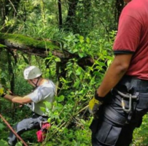 Buscarán a Gastón Sanz en Salta con canes y drones