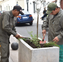 Se hicieron refacciones y se plantaron árboles en el Corredor de la Fe