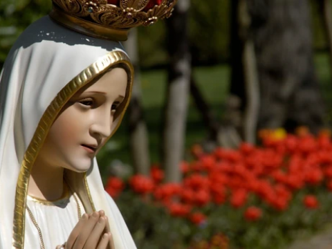 Día de la Virgen de Fátima: Oraciones para pedirle por salud y milagros -  Salta Soy