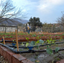 Continúan la capacitación sobre el armado de las huertas en casa