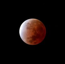  Eclipse lunar y Luna de Sangre de mayo 2022: a qué hora es y dónde verlo en Argentina
