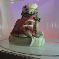 Hoy los museos de Salta serán gratuitos