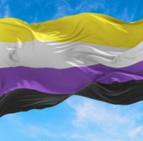 Casi el 11% de los salteños se indentificaría como No Binario