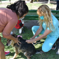 Vacunaci&oacute;n antirr&aacute;bica: se visitar&aacute;n villa Lavalle y barrio 115 viviendas de Santa Cecilia