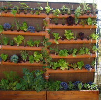 Se brindar&aacute; una capacitaci&oacute;n gratuita sobre huertas verticales en la zona oeste