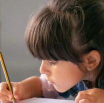  ANSES paga $10.654 por Ayuda Escolar Anual: estos son los requisitos