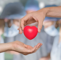 Hoy es el día Nacional de la donación de órganos