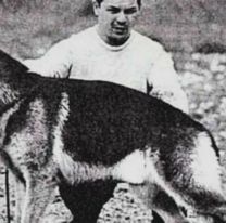  &iquest;Por qu&eacute; se conmemora el D&iacute;a Nacional del Perro?