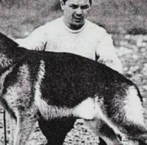 ¿Por qué se conmemora el Día Nacional del Perro?