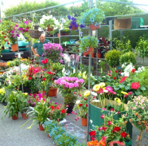 Se viene la segunda edición de la Feria de plantas y flores: cuándo y dónde ir