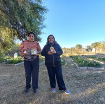 "Mi huerta", un microemprendimiento de mujeres de la zona oeste alta