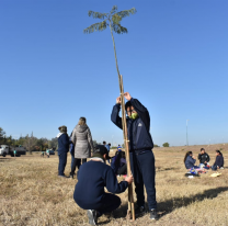 Alumnos participaron de la plantación en el microbosque de zona norte