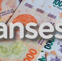 Anses pagará en estos días $9.000 a jóvenes sin trabajo: cómo me anoto