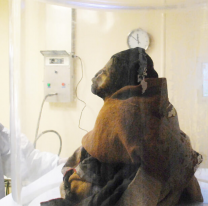 El MAAM se mantiene como referente internacional en crioconservaci&oacute;n