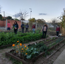 Se viene un nuevo curso para armar tu huerta en casa