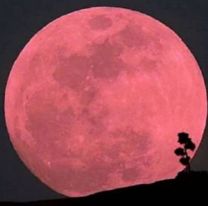 En Salta la super luna podrá verse desde las 19 horas
