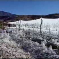 VIDEO | Un paraje salteño amaneció "congelado"