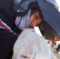 VIDEO | Del sur a Salta: el avi&oacute;n no quiso traer sus mascotas y llegaron en moto