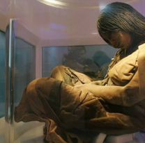 El MAAM fue elegido como el mejor museo de Argentina