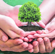 28 de junio: Día mundial del árbol