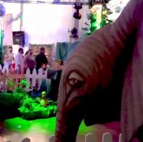 Eco muestra: un recorrido animal para toda la familia llega a Salta este viernes