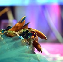 Vuelve Juego de Reinas, el reality drag que irrumpió en la TV salteña