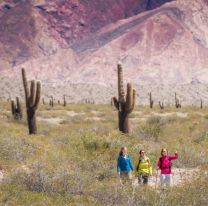 Salta se prepara para la temporada de invierno 2022